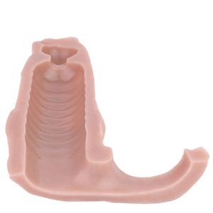 FAAK Ultra Animal Hollow <b>Dildo</b> With Knot for Men Delay Ejaculation Silicone Male Extender for Couples Flirting - Product Image 3