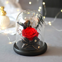 Fleurs éternelles naturelles, rose éternelle conservée dans un dôme en verre, cadeaux pour elle pour la Saint-Valentin, Noël, fête des mères 2026