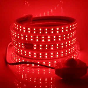 Nieuwe Collectie Hoogspanning 220V Certificering Rohs Tuv Ip65 Regendicht Cob Touw Led Strip Licht