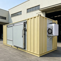 Contenedor Refrigerado de 40 Pies, Panel Sándwich de PU, Cámara Frigorífica, Almacenamiento Refrigerado con Compresor Copeland, Ahorro de Energía, CE