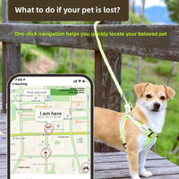 Collier de suivi GPS pour animaux de compagnie, suivi en temps réel, anti-perte, chats, chiens, compatible Bluetooth, matériau ABS, design simple, autonomie de la batterie d'un an