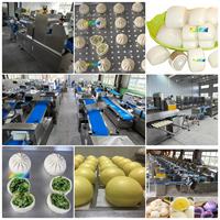 Bun cuit à la vapeur automatique d'approvisionnement d'usine faisant la chaîne de production farcie de chignon Baozi de machine