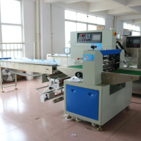 Machine d'emballage horizontale entièrement automatique Flow Pack Machine d'emballage de sucettes glacées Popsicle Caisse en bois 500