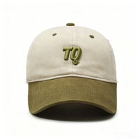 Gorra de Béisbol Vintage con Bloques de Color y Diseño de Frutas, Logotipo Bordado en 3D Personalizado, 6 Paneles, Algodón Jersey Transpirable, Ajustable, para Actividades al Aire Libre y Carreras