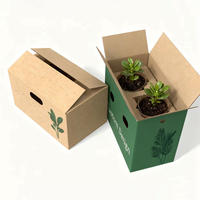 Boîte d'emballage en carton ondulé biodégradable avec logo personnalisé, boîte d'expédition verte pour plantes vivantes
