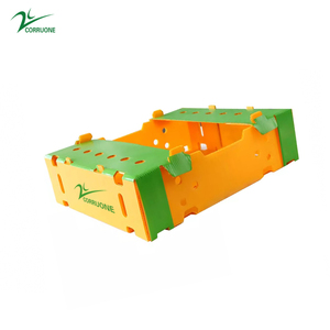 Custom PP Corflute Plastic Corrugated Okra Box a4 Size Nuc Asparagus Corrugated Plastic Okra box for Agriculture