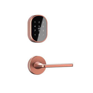 Khóa cửa khách sạn với wifi hai mặt vân tay mật khẩu an ninh kỹ thuật số điện tử khóa cửa khách sạn - Product Image 3