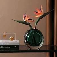Verre pour vase artistique hydroponique, design coloré transparent, résistant aux bris, pour la présentation de fleurs sur table, décoration de la maison