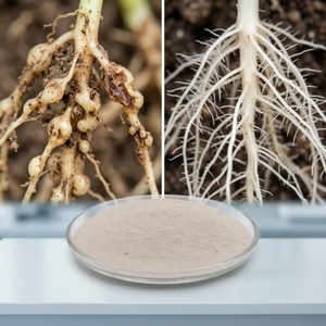 Paecilomyces Lilacinus, Nematodo Natural Enemigo de las Láridas, Parasita Huevos, Larvas y Nematodos Femeninos - Product Image 1