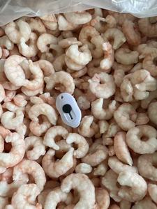 Buen <span class=keywords><strong>precio</strong></span> y buena calidad Camarón rojo congelado PUD IQF Camarón rojo - Product Image 2