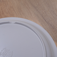 Assiette en plastique blanche personnalisée en usine Hucheng 1002, plateau de service incassable et écologique de nouveau design pour les fêtes et les événements