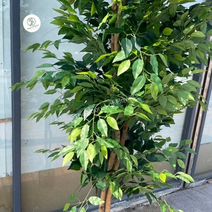 Bonsaï artificiel en plastique <span class=keywords><strong>vert</strong></span>, tronc en bois artificiel <span class=keywords><strong>vert</strong></span>, plantes en pot pour la décoration de jardin intérieur, <span class=keywords><strong>arbre</strong></span> banyan - Product Image 2