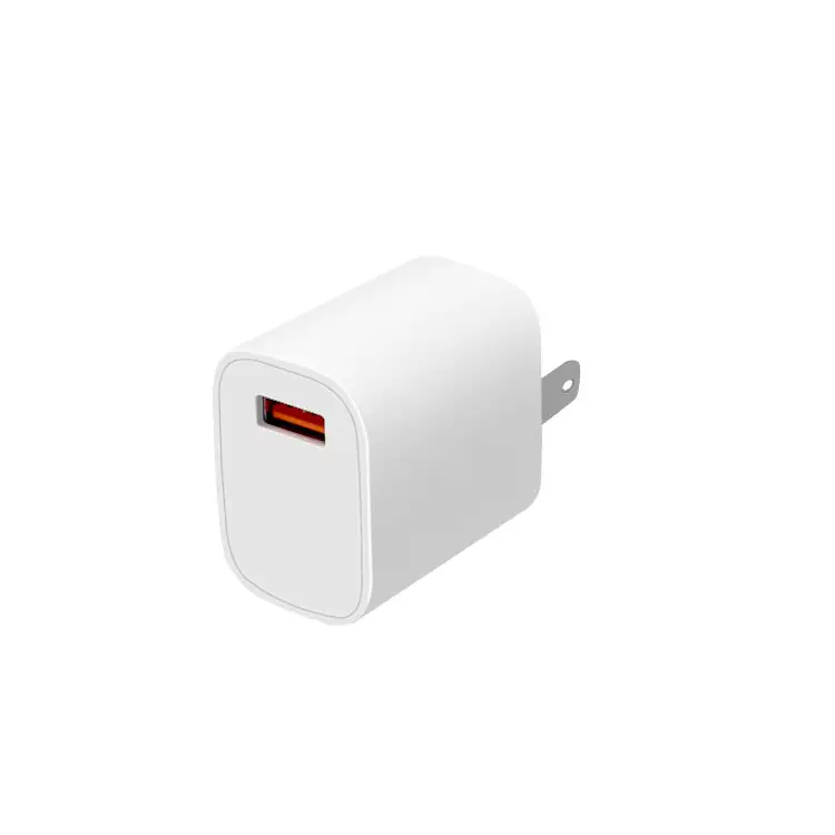 Adattatore da parete con doppia porta USB Adattatore da viaggio 5V 2A 10W