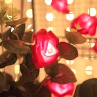 Vente en gros de guirlandes lumineuses 1m 10 blanc chaud guirlandes lumineuses de vacances nouvelle pile AA Rose circuits d'éclairage IP44 décorations de Noël