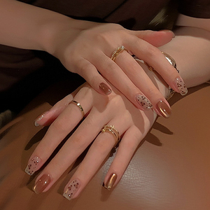 AILANUO 11 couleurs Automne Doré Forgeage Gel Polissage Série Flash Magnétique Cat's Eye Gel Immersion Vernis Nail Salon Gel UV - Product Image 3