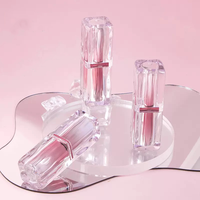 Matériaux d'emballage en plastique vides de tube de rouge à lèvres de gradient de mode avec le placage en plastique