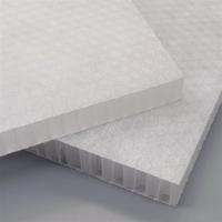 Noyau en nid d'abeille en polypropylène personnalisé avec tissu non tissé pour remplacer le PVC dans la construction de bateaux
