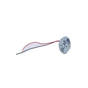 Supplier Customized 300 Mini 3v 6v 2970rpm Electric DC Motor With Wire For DIY Toys