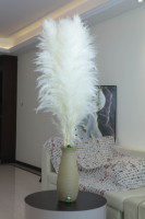 Rumput Pampas Kering Besar Alami Warna Beige Abu-abu Pink Berwarna-warni Sentuhan Alami Tahan Lama untuk Pernikahan Hari Valentine Natal