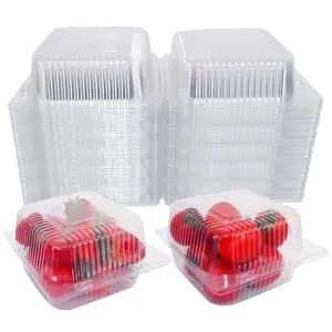 PET Transparent Disposable Fruit Clamshell Food Packaging Container Square Cake Boxes Custom Wholesale Fresh Salad Packing