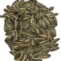 Graines de fleurs crues bon marché Tournesol chinois 363 361