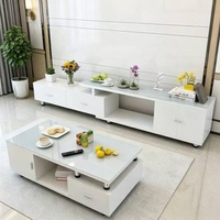 Table basse moderne de luxe à profil bas en bois mélaminé avec plateau en acrylique et espace de rangement pour le salon