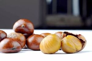 Máy Bóc Vỏ Hạt Dẻ Tự Động + Máy Bóc Vỏ Hạt Dẻ - Product Image 4