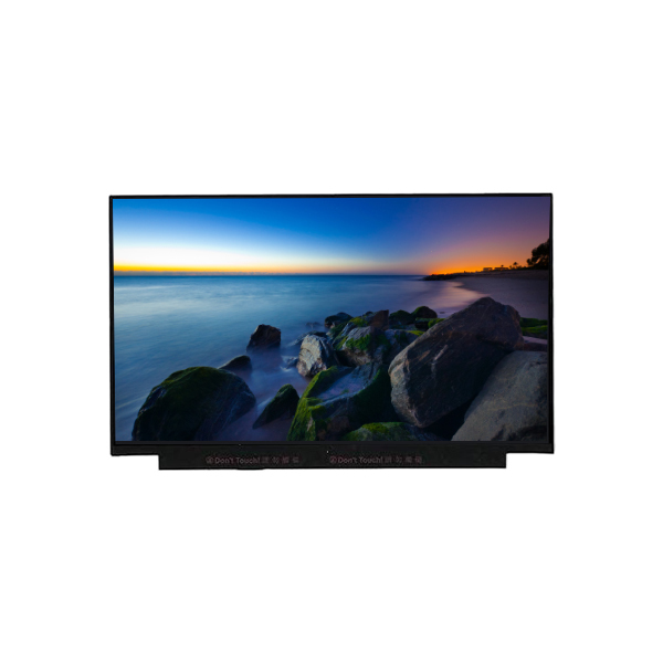 Plastic NE133FHM-N55 Lcd Display