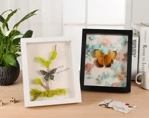 批发展示干花植物标本花束饰品壁挂式或桌面展示木框盒