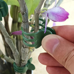 Clip de Fijación para Plantas de Plástico Modelo 036 para Orquídeas <span class=keywords><strong>Dendrobium</strong></span> y Plantas Trepadoras - Product Image 1