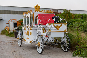 Carruaje Eléctrico de Cenicienta, de Acero, Personalizado, con Neumáticos de Caucho Sólido de Alta Calidad - Product Image 6