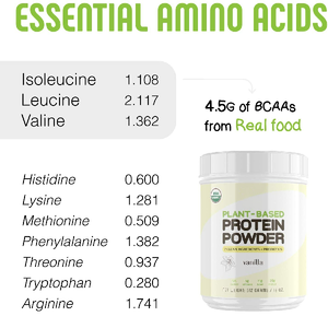 Nutrición en polvo de proteína de vainilla saludable a base de plantas OEM 100% para adultos-Venta al por mayor ODM Etiqueta privada Venta caliente - Product Image 5