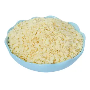 Grosir 100% rempah-rempah Cina murni alami bubuk ekstrak bawang putih kering untuk bumbu makanan