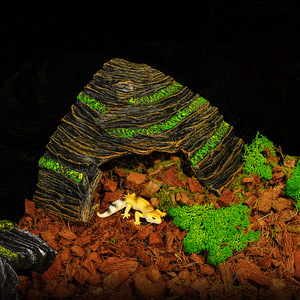 Nhự<span class=keywords><strong>a</strong></span> trang trí hang động ẩn náu cho các loài bò sát & Lưỡng Cư rù<span class=keywords><strong>a</strong></span> hộp với Basking & leo nền tảng tắc kè cảnh quan phong cảnh - Product Image 4