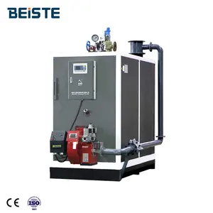 Beiste Y Q -0.5T 0.5 T 1ton LPG Natural Gas Diesel Fuel Steam Boiler For Food Industry Chemical Industries