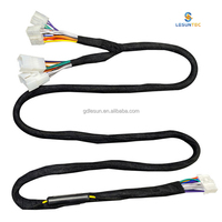 Custom Automotive Wiring Harnesses with Modified DSP Amplifier Cable for Automobile Toyota Corolla Corolla Camry Levin No. 7