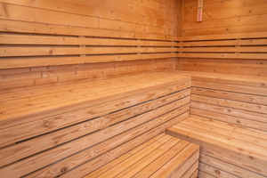 Sauna de Madera Sólida de Alta Calidad para 4 Personas, Moderna, Eléctrica, para Mercado Extranjero, Juego Completo para Exteriores con Panel de Control, Sauna de Vapor Húmedo - Product Image 6