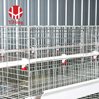 Système de cages à poulettes haute densité à 3, 4 ou 5 niveaux en fil d'acier galvanisé soudé pour l'élevage de poussins, destiné à l'équipement d'élevage avicole