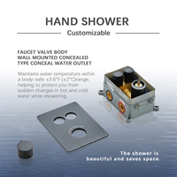 Pommeau de douche à effet pluie noir mat personnalisable de 14 pouces robinet de salle de bain dissimulé chaud et froid nouveau style système de douche d'hôtel