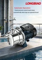 Pompe à jet auto-amorçante 25DN SS série JET 220V avec moteur 100% cuivre >1KW, surpresseur d'eau automatique pour maison et jardin
