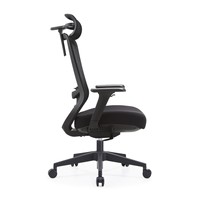 Chaise de Direction Ergonomique en Maille de Qualité avec Cadre en Nylon, Roulettes en PU Testées BIFMA, Accoudoirs 4D pour la Maison et le Bureau, Achat en Gros