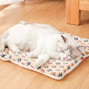 Four-Season Universal Pet Blanket, Double-Sided Warm Flannel Pet Mat, Short <b>Plush</b> Cotton Cushion for Dogs & <b>Cats</b> - Product Image 6
