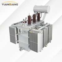 Transformador de Distribución de Aceite Mineral IEC de 20kV 315kVA 500kVA 800kVA con Conservador para Plantas de Energía Solar