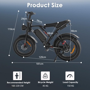 Nuevo Motor de Buje Delantero H9 Retro de 48V con Neumático Ancho de 20 Pulgadas para Exportación 2026 - Product Image 4