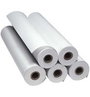 Papier de sublimation numérique à séchage rapide pour presse à chaud, 80/90/100 g/m², en rouleau ou en pièces, blanc éclatant, pour transfert thermique sur vêtements