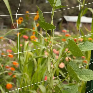 Filet de treillis Huike 15 cm pour plantes grimpantes avec service de découpe - Product Image 4