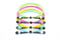 Câble Trunk RUIARA RR-MPO-50 MTP MPO OM3 OM4 OM5 OS2 à Fibre Optique Haute Densité à Faible Perte pour Centre de Données (Conducteur GOF)