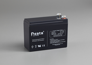 Nouvelle <span class=keywords><strong>batterie</strong></span> au plomb AGM Neata <span class=keywords><strong>12V</strong></span> 9Ah 10Ah 20Ah <span class=keywords><strong>17Ah</strong></span> pour voiture et solaire 2026 - Product Image 4