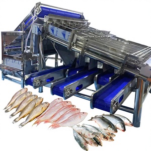 Efficient Small Yellow <strong>Croaker</strong> Sorting Machine Small Yellow <strong>Croaker</strong> Roller Grader for Fish Plant Fish Grader Fish Sorter 4.9KW - Product Image 1