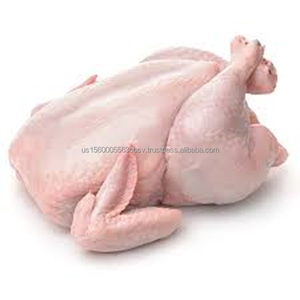 Compre pavos enteros congelados en línea Calidad pavos enteros congelados - Product Image 2